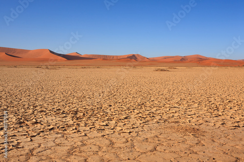 Desert panorama