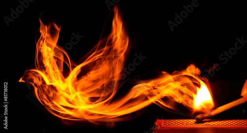 Bird made of fire comes from a burning matchstick