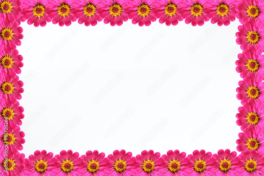 frame of flowers frame of flowers