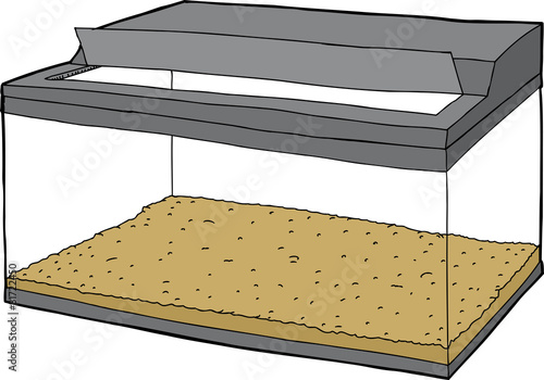 Aquarium with Nothing In It