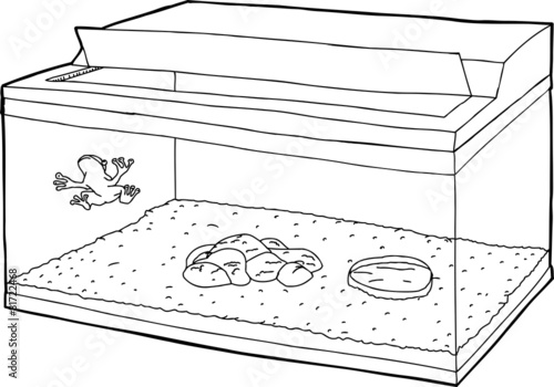 Outline of Frog in Aquarium