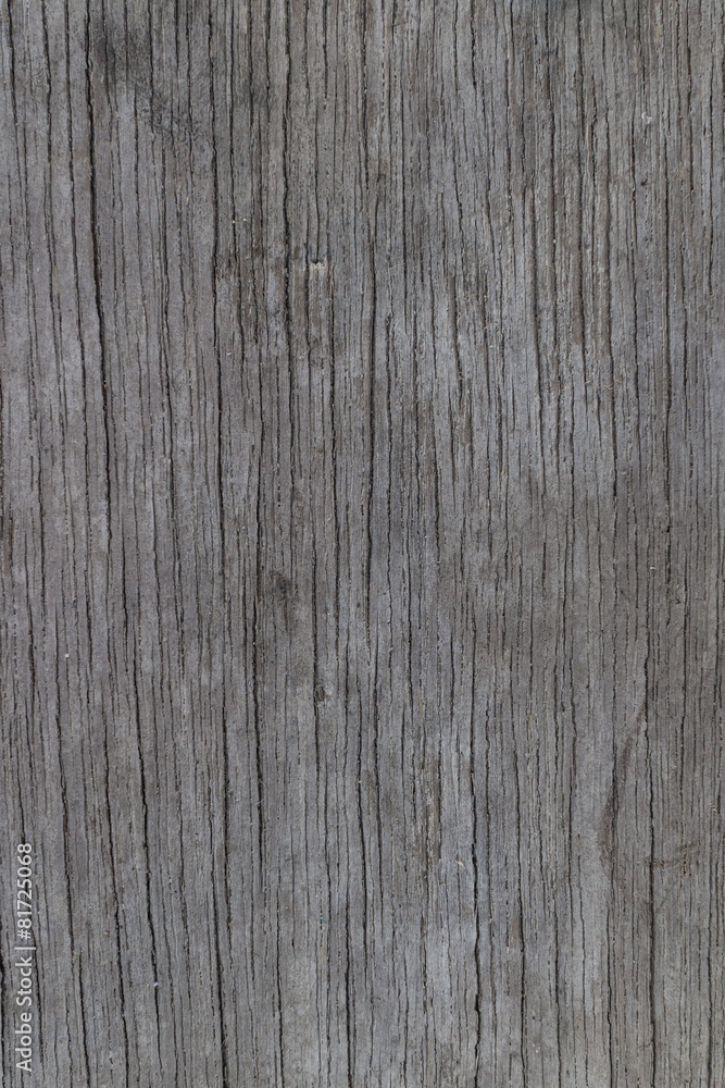 The old wood texture with natural patterns background The old wood texture with natural patterns background