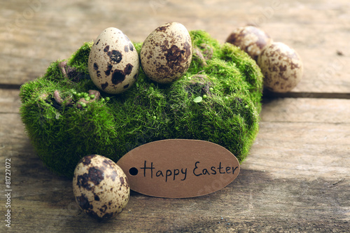 Bird eggs on moss on wooden background