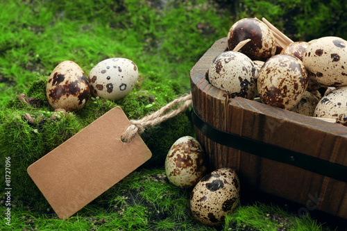 Bird eggs in wooden bucket on green grass background