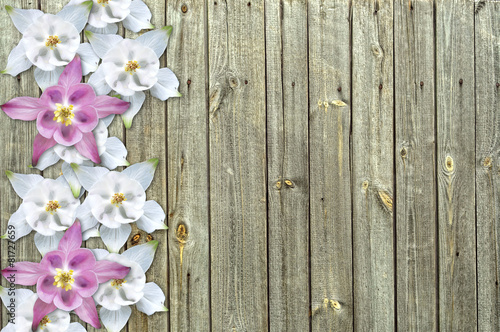 flowers on wood background
