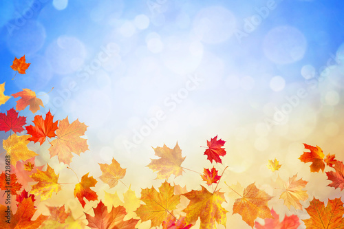 autumn leaves on blue sunny glow background