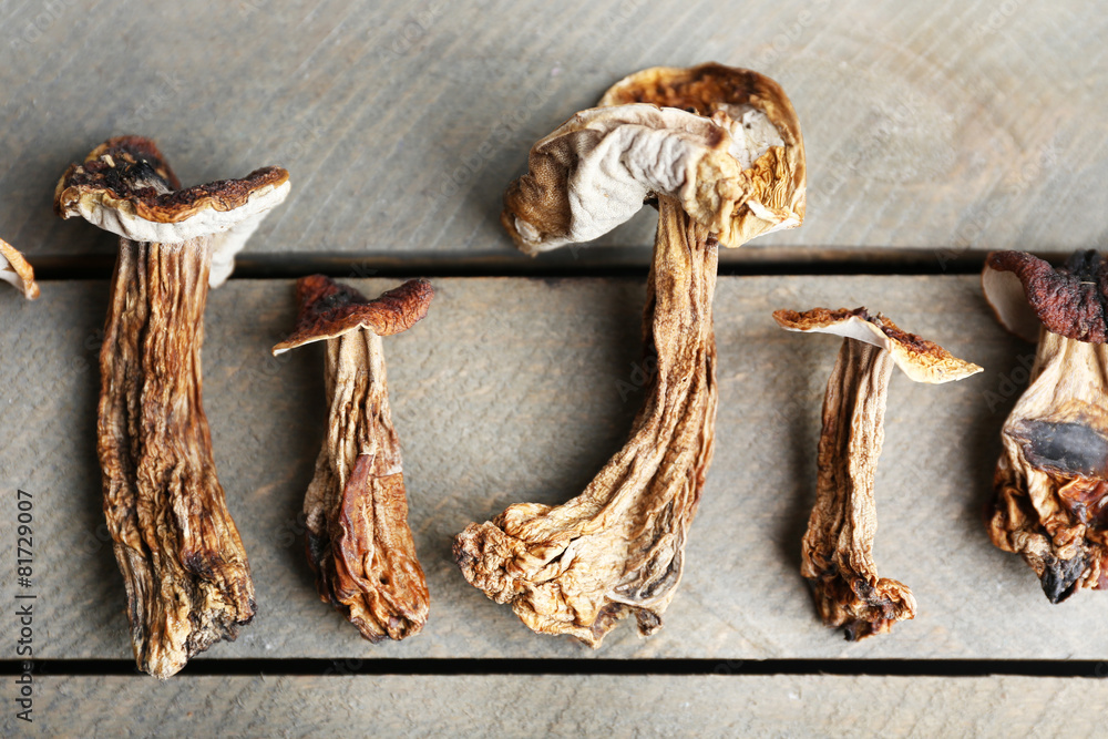 Obraz premium Dried mushrooms on wooden background