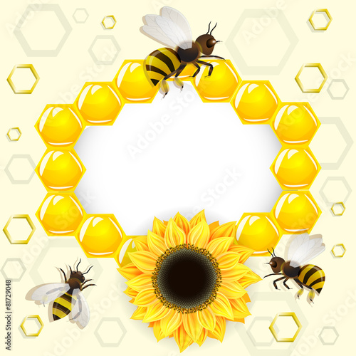 Sunflowers and bees over honeycombs background