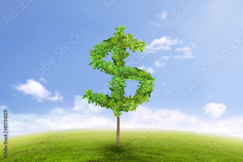  tree in the shape of dollar sign