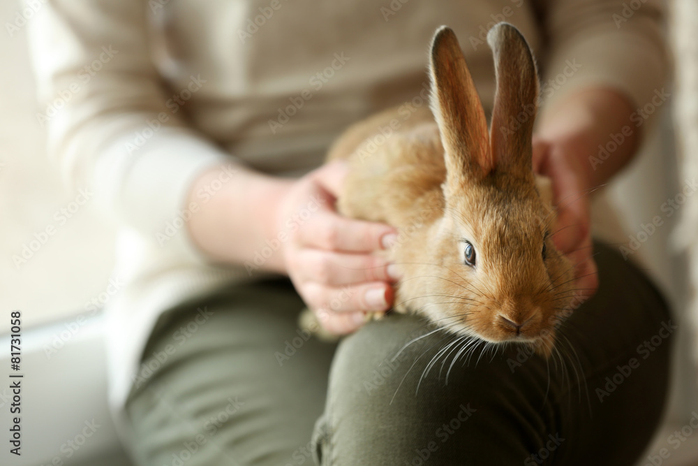 Fototapeta premium Woman holding little cute rabbit close up