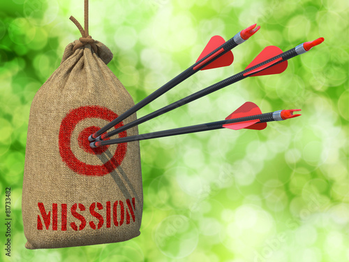 Φωτογραφία Mission - Arrows Hit in Red Target.