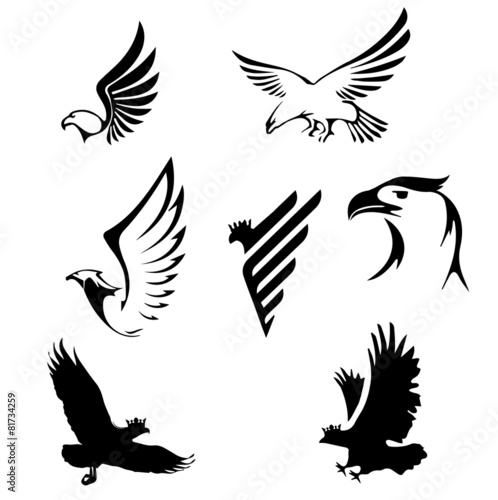 Obraz na płótnie Eagle w salonie