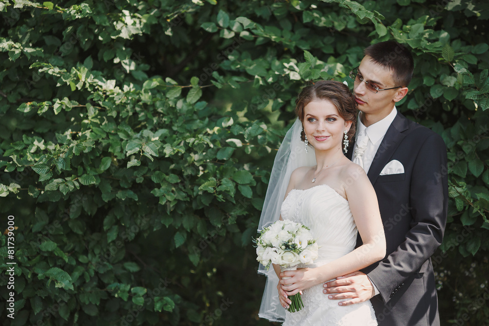 wedding couple wedding couple