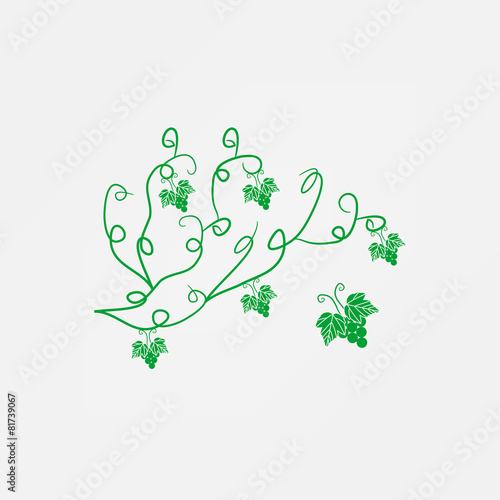 vine icon