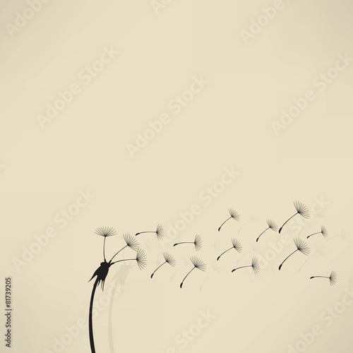 blowing dandelion vector