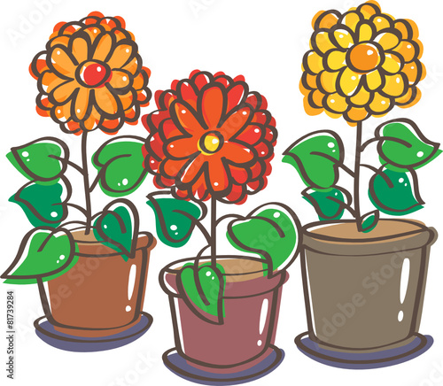 Flowers in pots