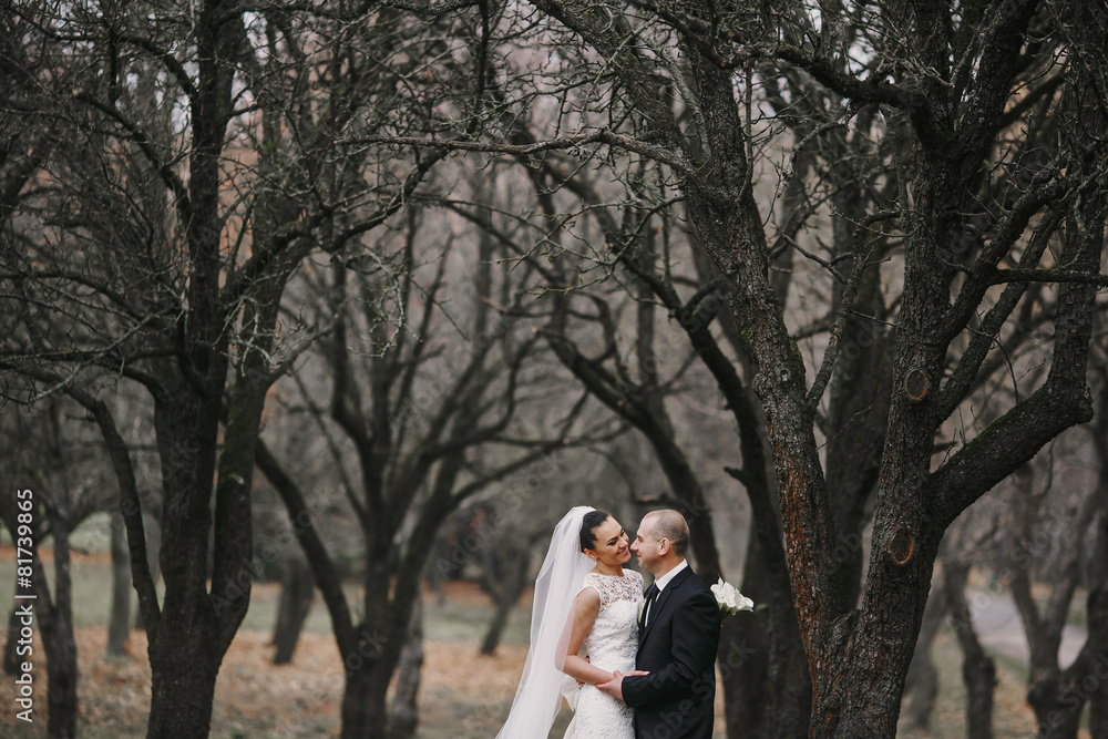 Fototapeta premium Wedding couple