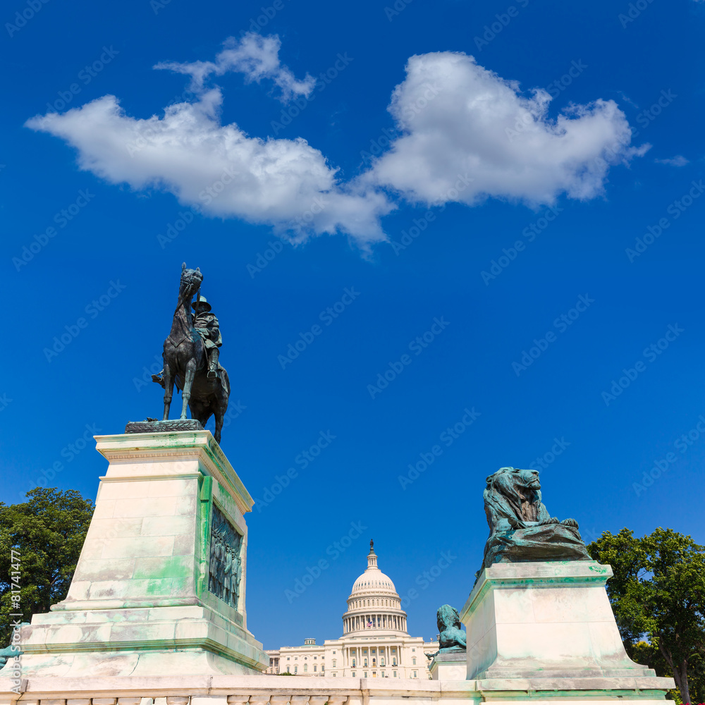 Fototapeta premium Capitol building Washington DC sunlight congress