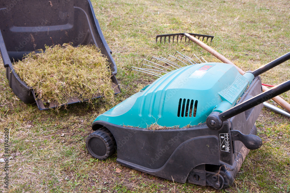 Fototapeta premium Spring gardening