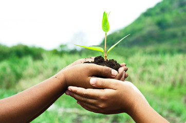 child holding young plant in hands against spring green backgrou
