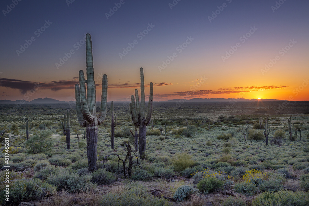 Sunset over the Phoenix Valley in Arizona - obrazy, fototapety, plakaty 