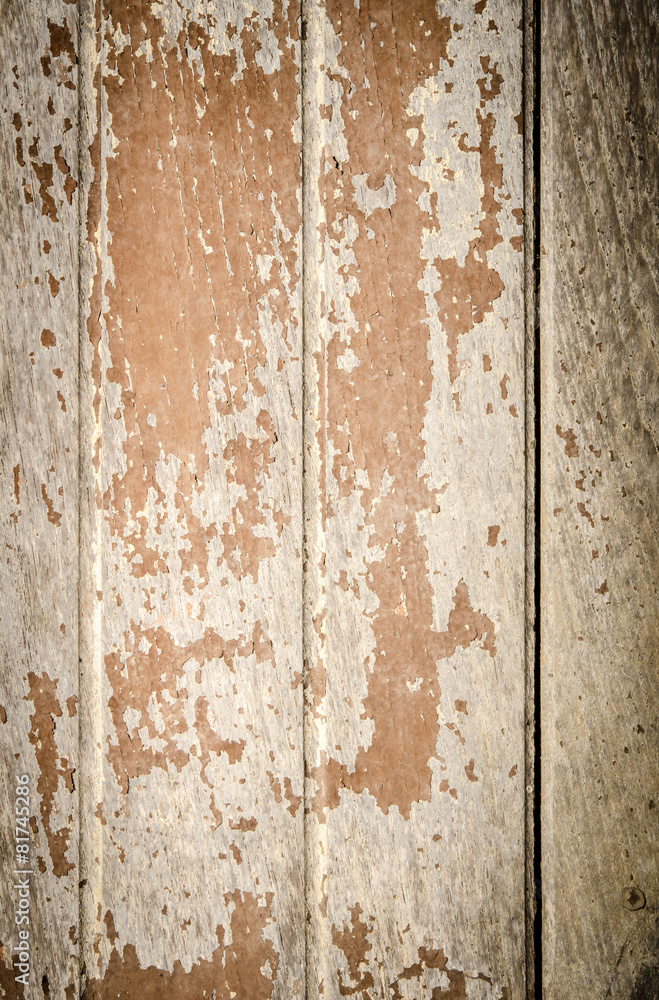 Fototapeta premium Grunge wood