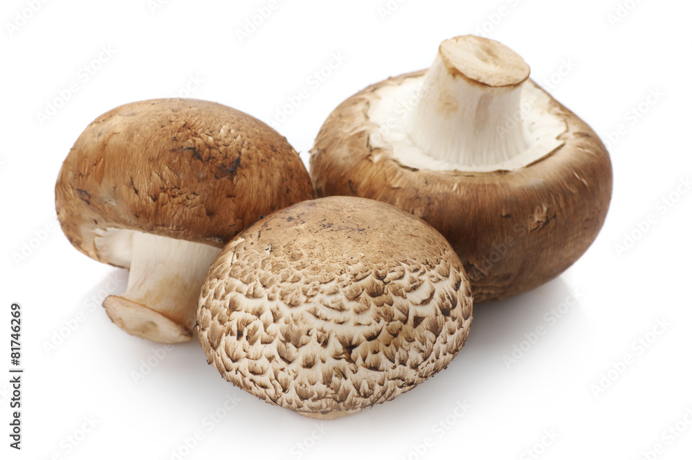 Brown cap mushrooms