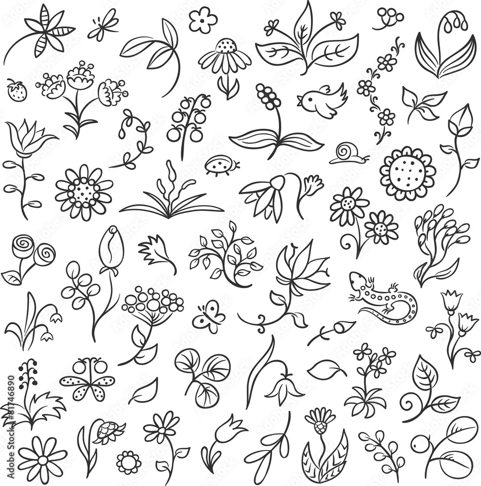 Floral Design Elements Outlines Floral Design Elements Outlines