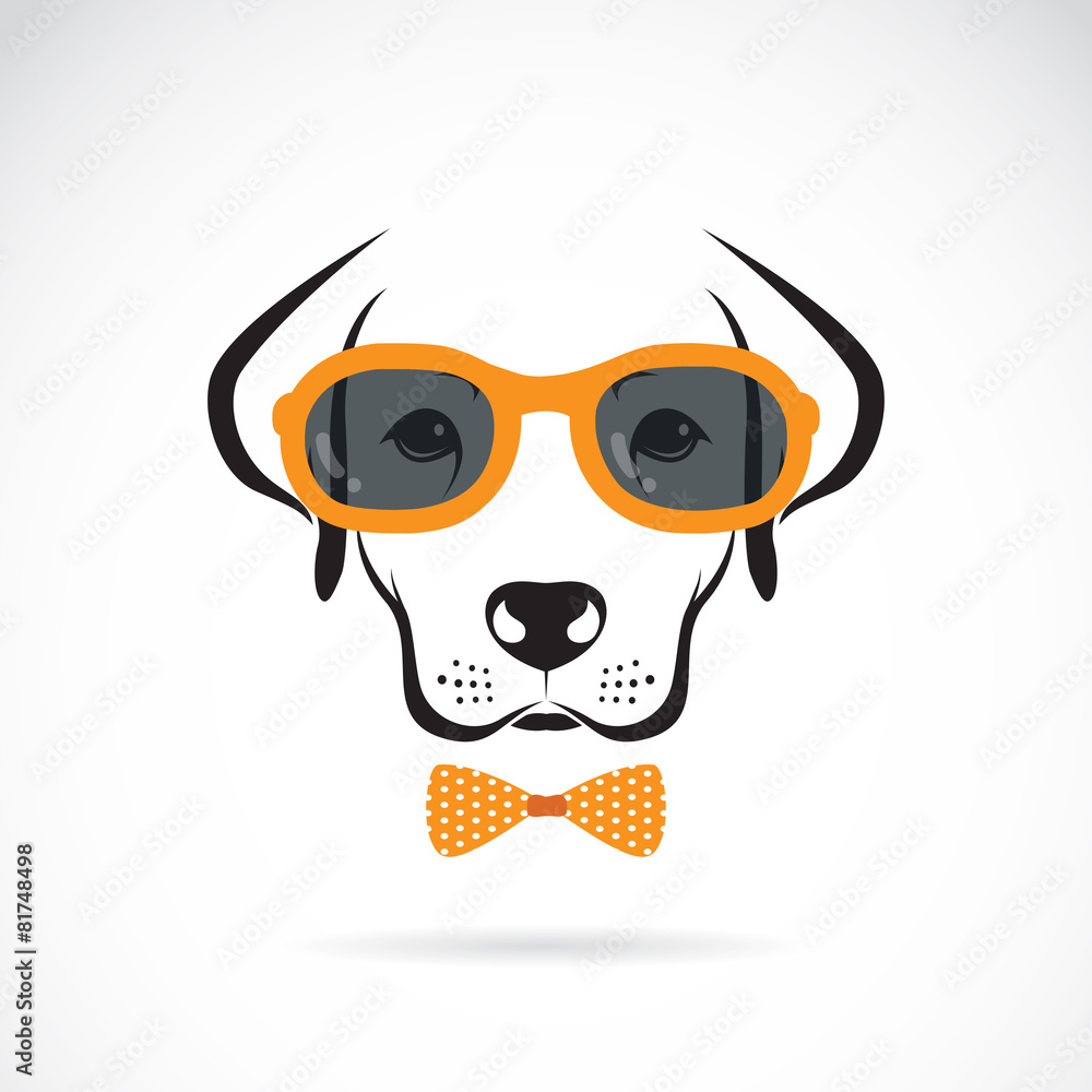 Vector images of dog labrador wearing glasses on white backgroun Vector images of dog labrador wearing glasses on white backgroun