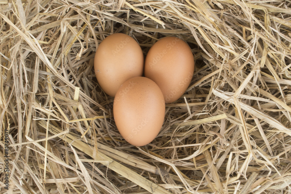 Macro shoot of brown eggs at hay nest in chicken farm