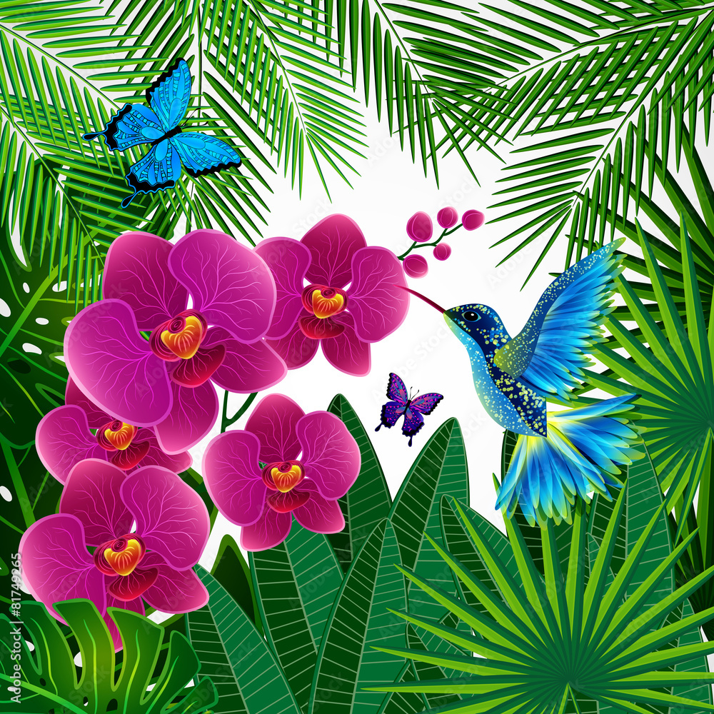 Obraz premium Floral design background. Orchid flowers with bird, butterflies.