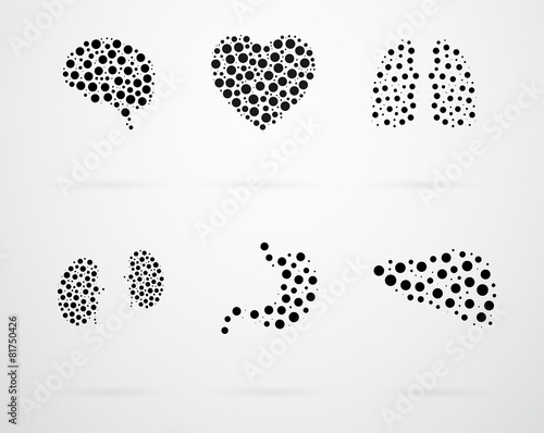 Internal Human Organs Icon Set