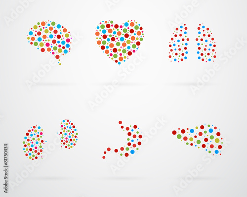 Internal Human Organs Icon Set