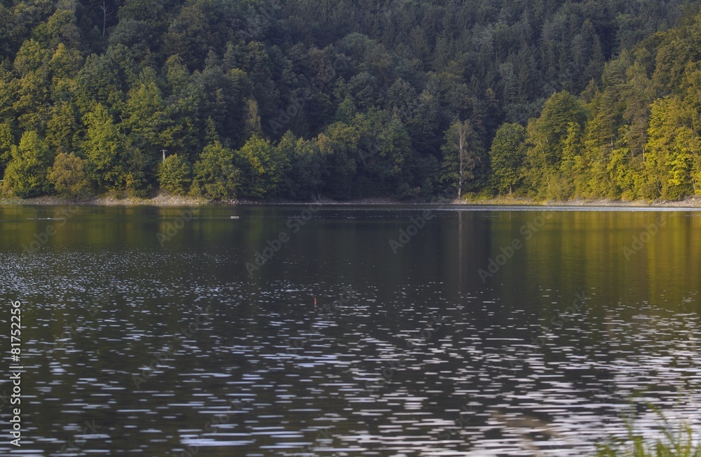 Fototapeta premium Forest Lake