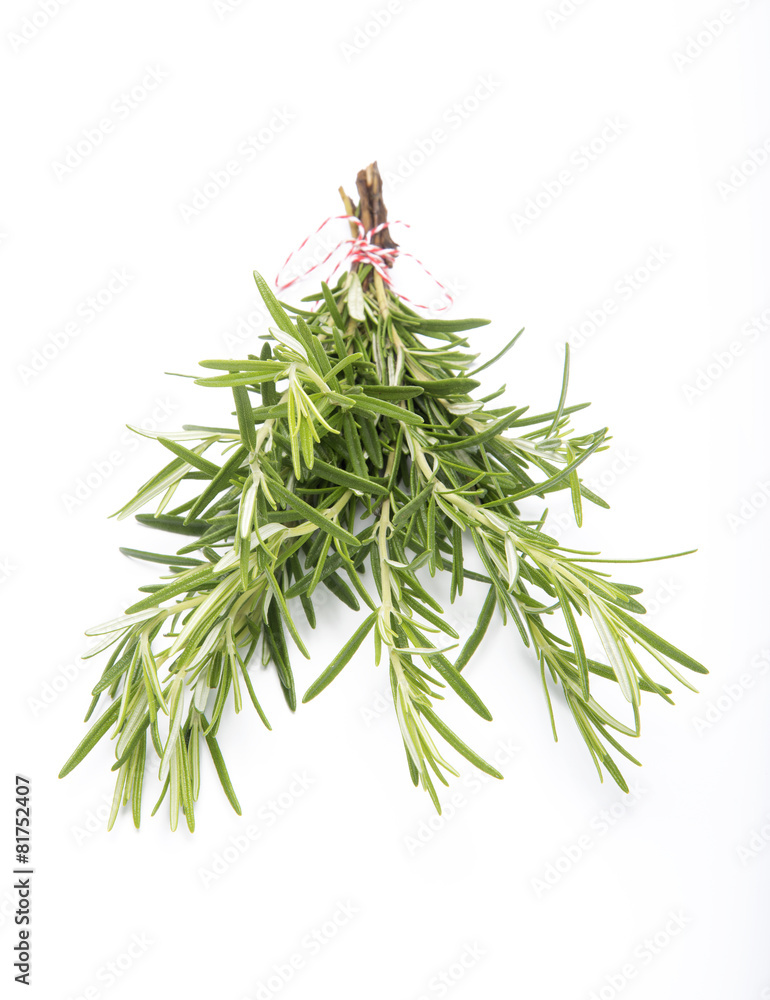 Rosemary on white backbround Rosemary on white backbround