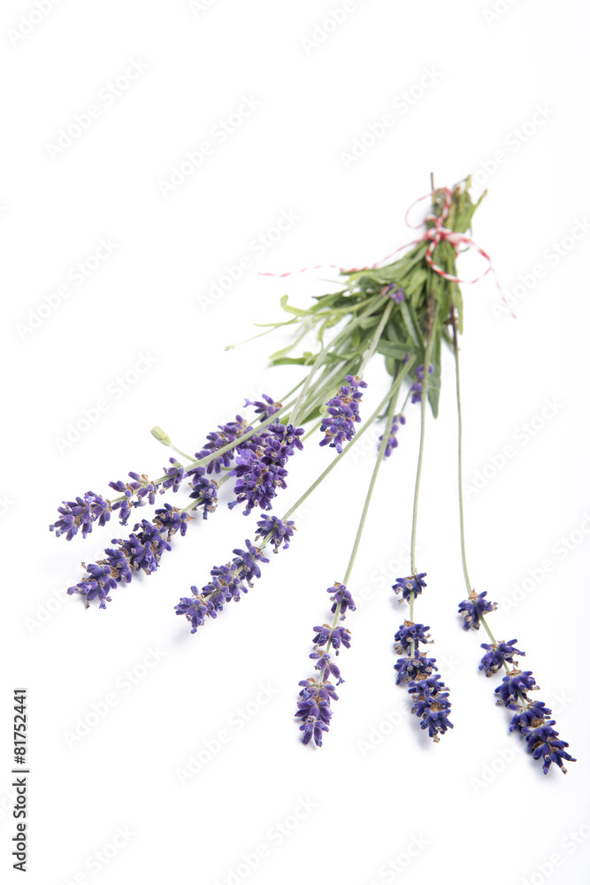 lavender bouquet isolated on white background