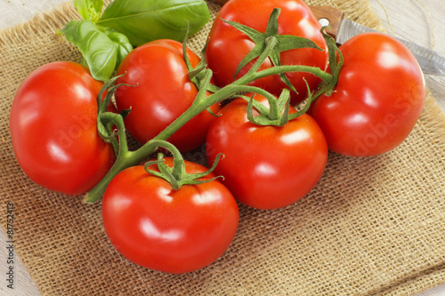 Bild auf Leinwand grappe de tomates 18042015