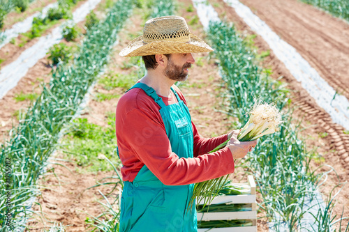 Farmer man harvesting onions in Mediterranean