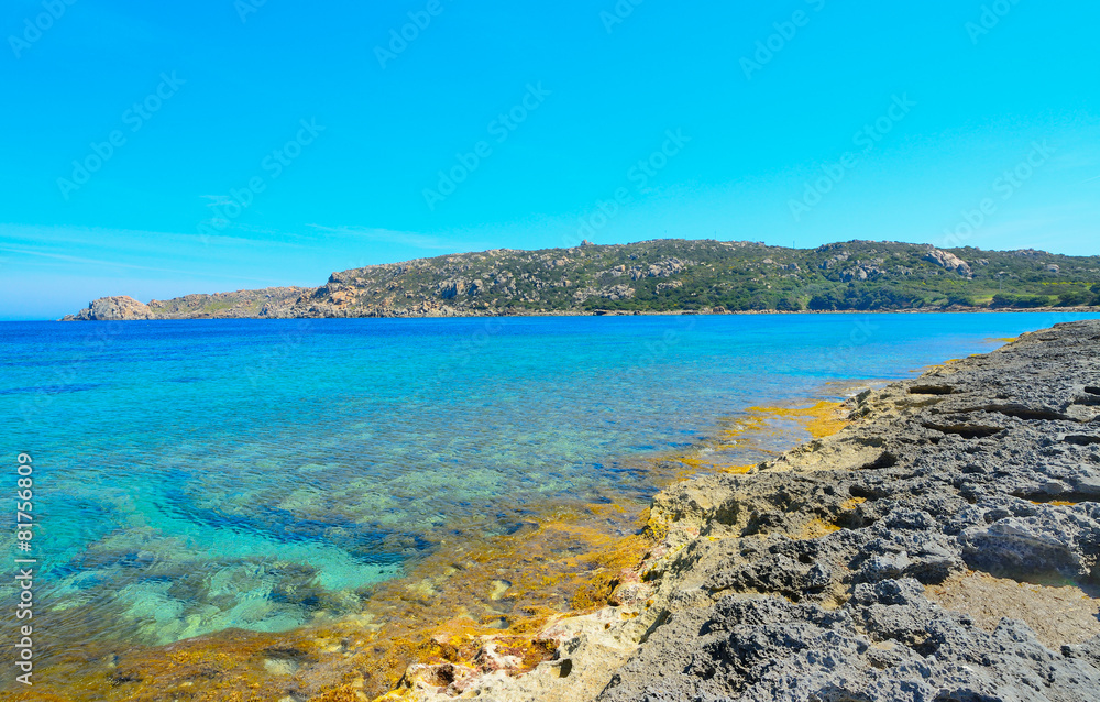 Fototapeta premium grey rocks by the shore