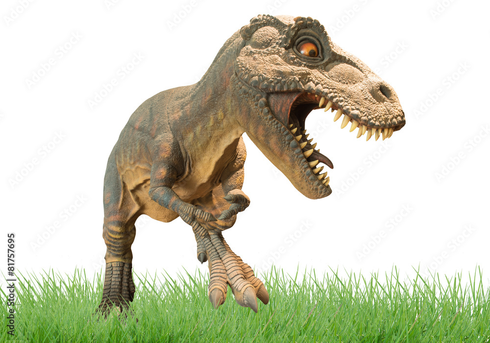Dinosaur Dinosaur