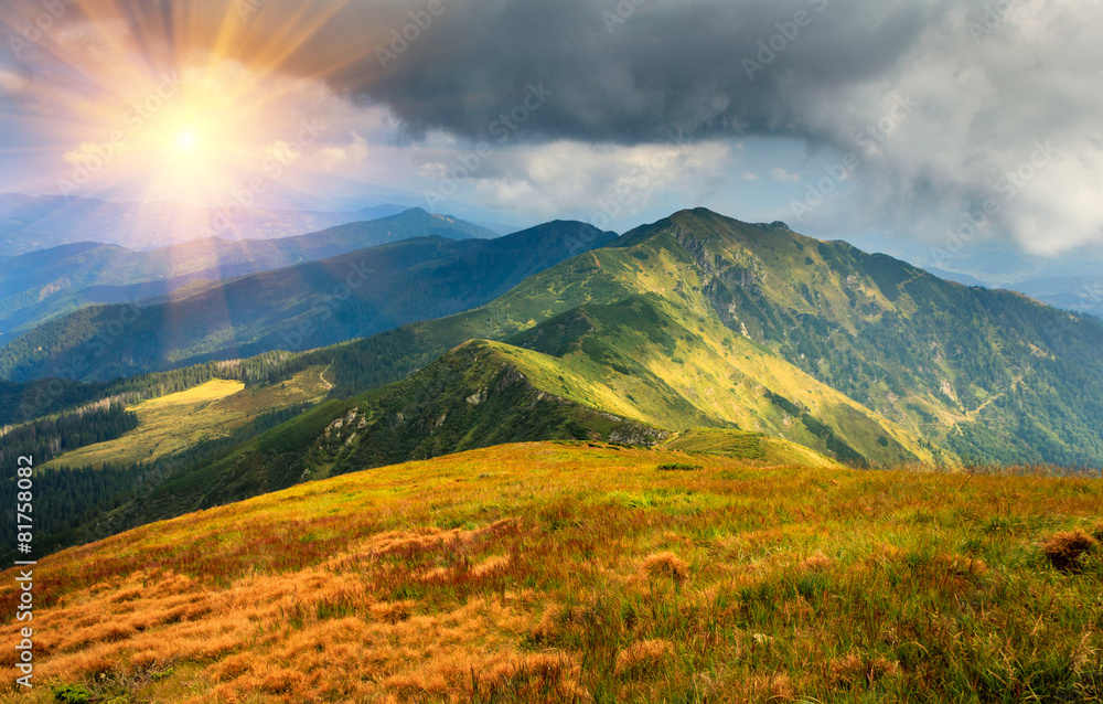 Fototapeta premium Beautiful summer landscape in the mountains. Sunset.