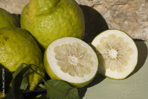 Citrus fruit slices