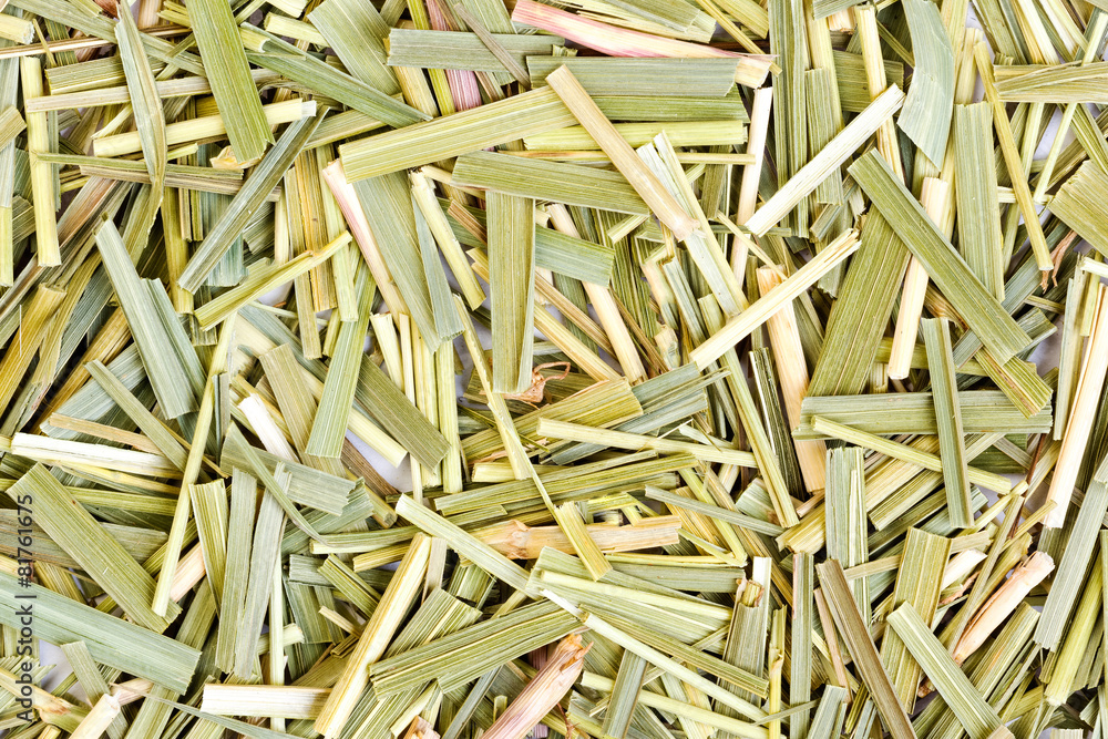 Sweetgrass for medical use. Close-up photo. Sweetgrass for medical use. Close-up photo.