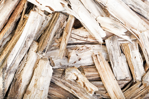 Dry Burdock for medical use. Close-up photo.