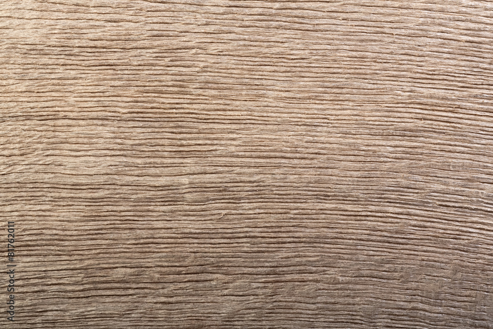 Macro photo of dark scratched wood (bog oak). Texture. Macro photo of dark scratched wood (bog oak). Texture.