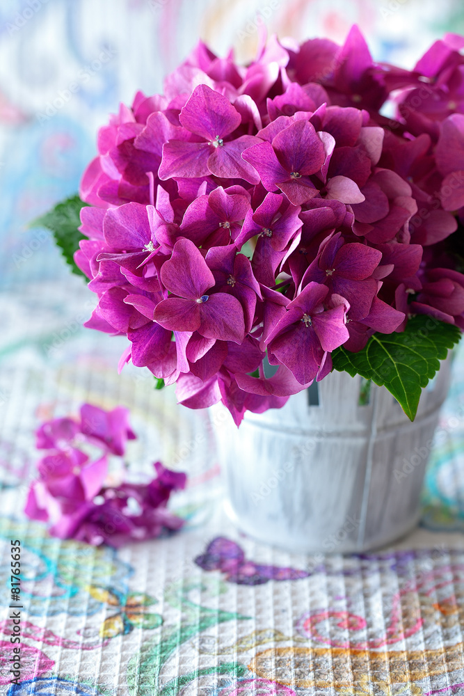 beautiful purple hydrangea flowers on a table . beautiful purple hydrangea flowers on a table .