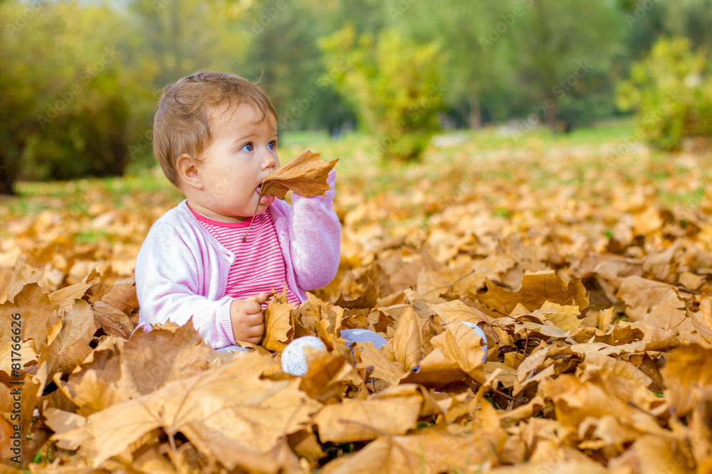 baby playing with autumn leaves baby playing with autumn leaves