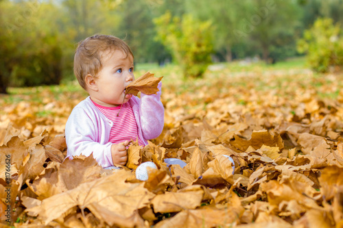  baby playing with autumn leaves