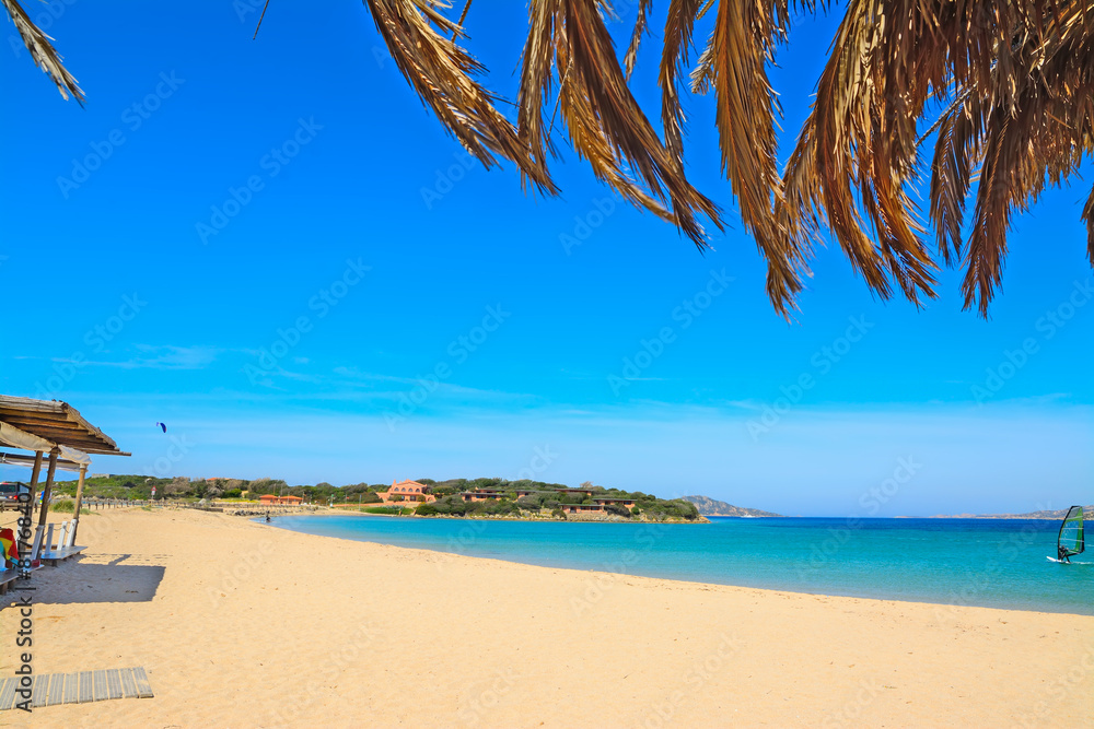 palm branches by the shore in Porto Pollo