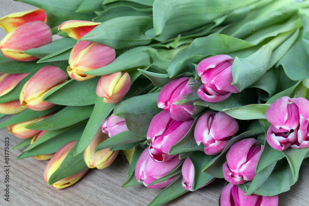 wunderschöne Tulpen auf einem Holzuntergrund wunderschöne Tulpen auf einem Holzuntergrund